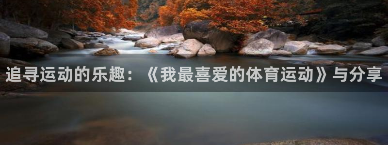 3377体育官方正版app娱乐是那个系列的台子：追寻