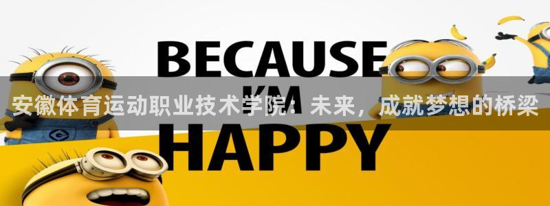 3377体育官方正版app五金厂：安徽体育运动职业技