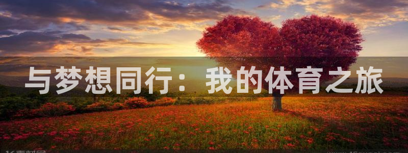 海南3377体育官网下载发展怎么样：与梦想同行：我的体育之旅