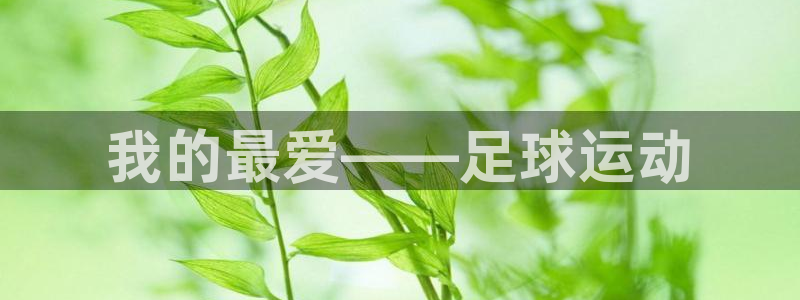 3377体育官网下载平台：我的最爱——足球运动