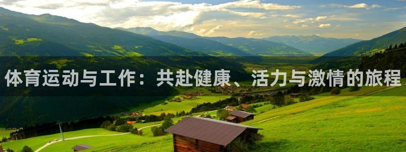 3377体育官网下载平台注册流程图：体育运动与工作：