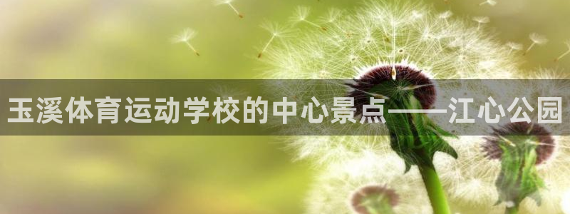 3377体育官网下载平台注册流程视频：玉溪体育运动学