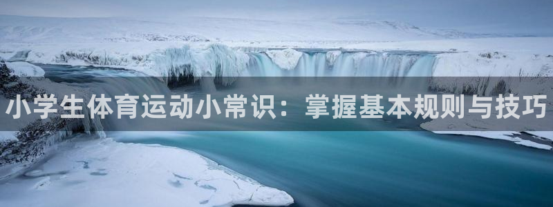 海南3377体育官网下载发展怎么样：小学生体育运动小