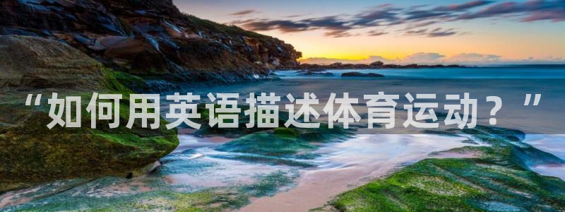 3377体育官方正版app科技