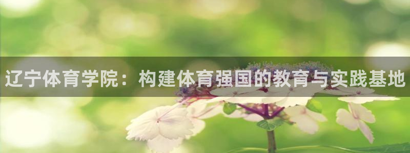 3377体育官网下载平台注册要钱吗：辽宁体育学院：构建体育强