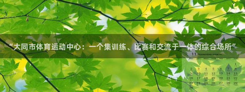 3377体育官网下载招商：“大同市体育运动中心：一个
