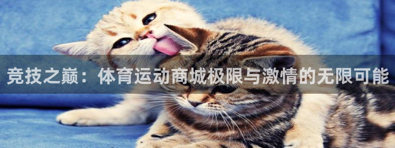 3377体育官网下载平台是正规平台吗：竞技之巅：体育运动商城