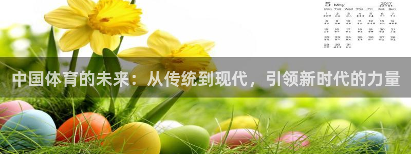 海南3377体育官网下载：中国体育的未来：从传统到现