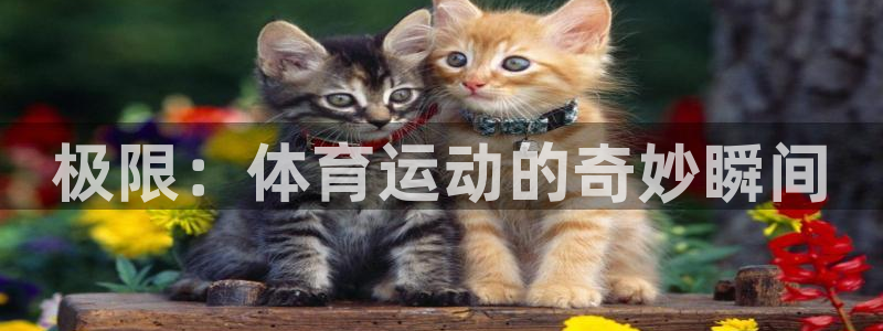 3377体育官网下载平台假的吗是真的吗吗