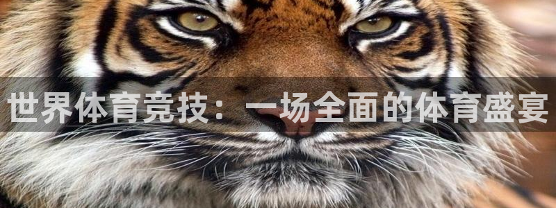 3377体育官网下载平台注册要钱吗：世界体育竞技：一场全面的