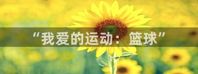 海南3377体育官网下载发展怎么样