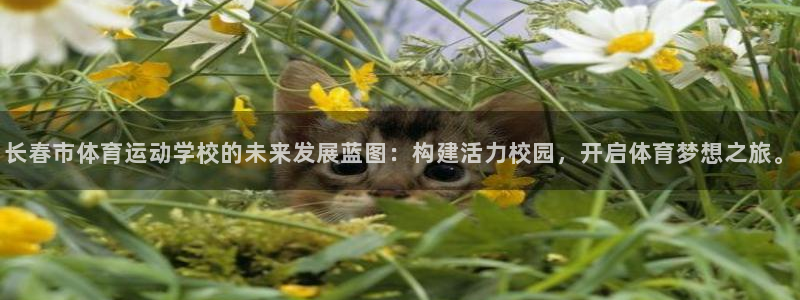 3377体育官网下载平台是正规平台吗：长春市体育运动学校的未