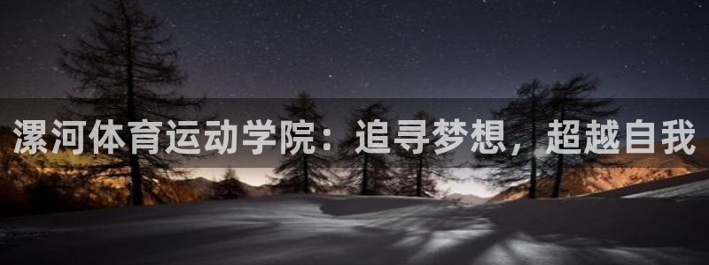 3377体育官方正版app集团