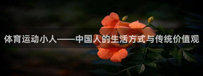 3377体育官方正版app娱乐代理怎么样：体育运动小人——中