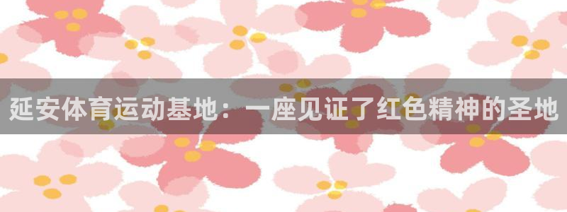 3377体育官方正版app代理