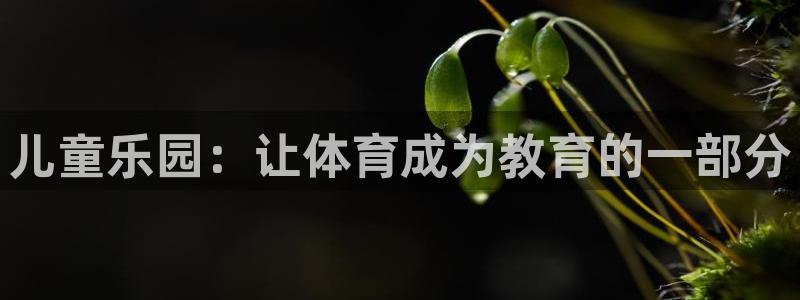 3377体育官方正版app官网