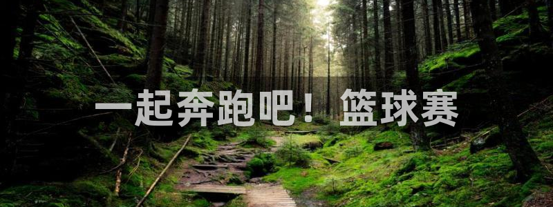 3377体育官方正版app集团logo：一起奔跑吧！篮球赛