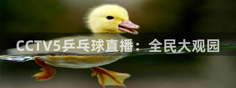 球神体育：CCTV5乒乓球直播：全民大观园