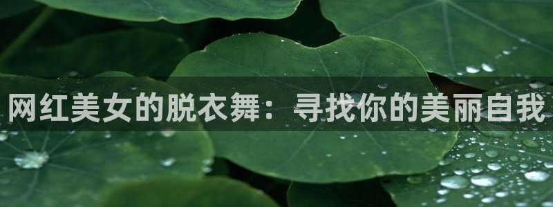 球神体育直播：网红美女的脱衣舞：寻找你的美丽自我