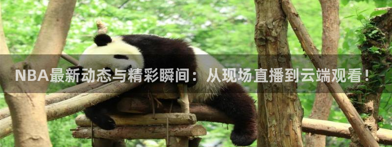 球神直播足球：NBA最新动态与精彩瞬间：从现场直播到云端观看！