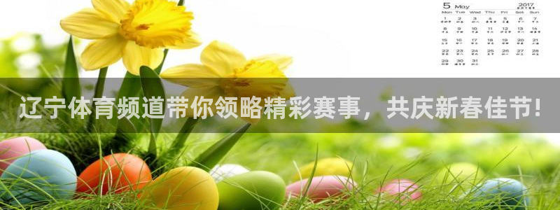 球神体育nba直播：辽宁体育频道带你领略精彩赛事，共庆新春佳节!